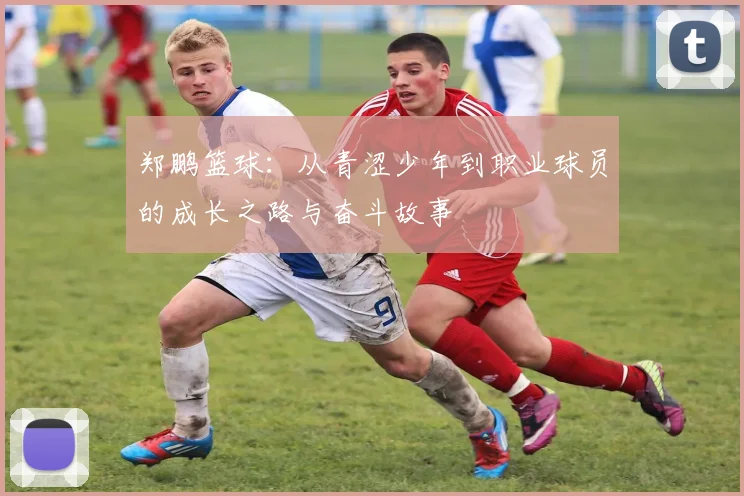 郑鹏篮球：从青涩少年到职业球员的成长之路与奋斗故事
