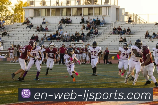 App Interface Preview